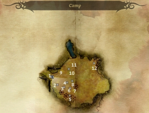 The Camp