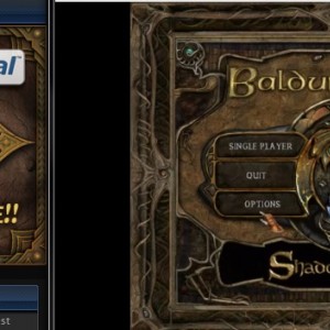 Anyone notice the similarities between the PE logo and the Baldur's Gate 2 launch screen?