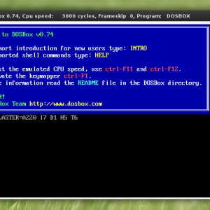 DOSBox on Linux - welcome message
