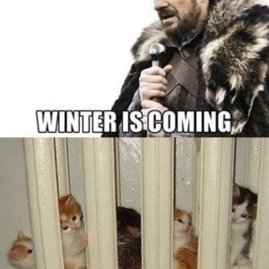 Winter is coming *bracing*