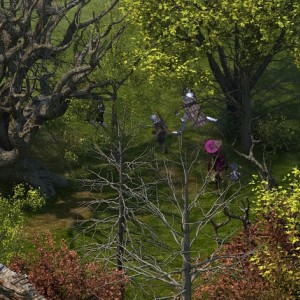 Screenshot from the "Magran's Fork" wilderness area in Pillars of Eternity
