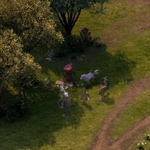 Screenshot from the "Pearlwood Bluff" wilderness area in Pillars of Eternity
