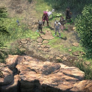 Screenshot from the "Stormwall Gorge" wilderness area in Pillars of Eternity