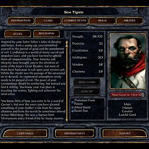 The titular player character: Ser Tigris