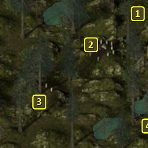 Baldur's Gate 2 EE: North Forest
