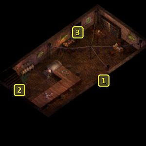 Baldur's Gate 2 EE: Crooked Crane, Main Floor