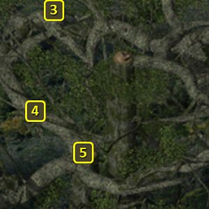 Baldur's Gate 2 EE: Tree of Life